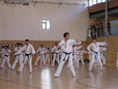 Classic Taekwondo Club Toblach