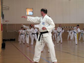 Classic Taekwondo Club Toblach