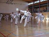 Classic Taekwondo Club Toblach