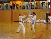 Classic Taekwondo Club Toblach