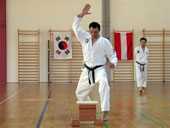 Classic Taekwondo Club Toblach