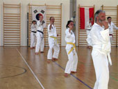 Classic Taekwondo Club Toblach