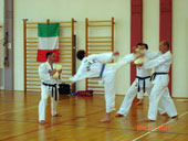 Classic Taekwondo Club Toblach