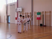 Classic Taekwondo Club Toblach