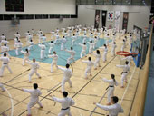 Classic Taekwondo Club Toblach