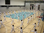 Classic Taekwondo Club Toblach