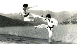 Taekwondo